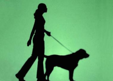 Image of a person walking a dog
