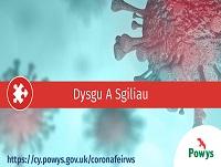 Image of Welsh Covid-19 Learning and Skills logo Image of Welsh Covid-19 Learning and Skills logo