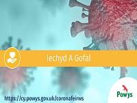 Image of Welsh Covid-19 Health and Care logo