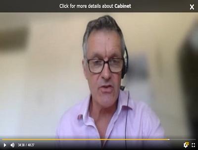 Image of a councillor at an online Cabinet meeting Image of a councillor at an online Cabinet meeting
