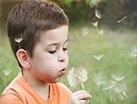 Child blowing flower