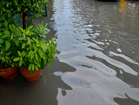 Image of flood Image of flood