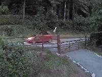 image of littering offence