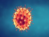Image of Covid-19 virus