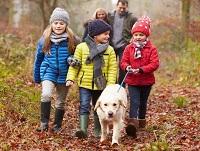Image of a family walking their dog