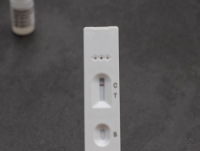 Image of Lateral Flow test