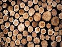Image of a pile of logs