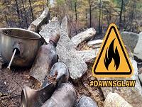 A campfire which had destroyed the countryside around it