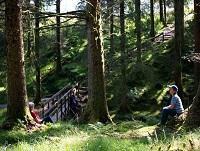 Image of people in the Hafren Forest