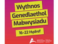 Image of Welsh National Adoption Week graphic