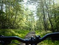 Image of a cycle path