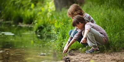 biodiversity