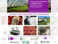 Rhai o brosiectau sydd wedi cael ei ariannu gan Gymorth Ariannol Lleiaf o Innovate UK