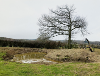 A pond created to help with nature-based water management in the Guilsfield Brook catchment.