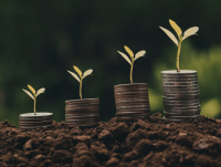 Four plants growing on top of varying piles of coins to show economic growth