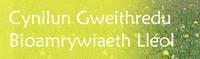 Cynllun Gweithredu Bioamrywiaeth Lleol