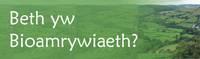 Beth yw bioamrywiaeth? Beth yw bioamrywiaeth?