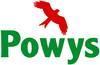 Powys Kite