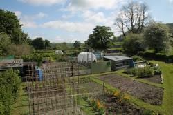 Eastgate Allotment Gardens