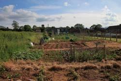 Talgarth Allotment Gardens