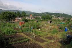 Crickhowell Allotment Gardens