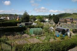 Burial Ground Allotment Gardens