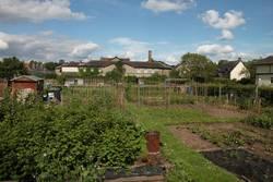 Hay on Wye allotment gardens