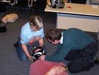 Image of Biker Down training demonstration