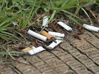 Image of some cigarette ends Image of some cigarette ends