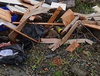 Image of Newtown fly tipping Image of Newtown fly tipping