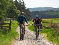Image of two people on mountain bikes