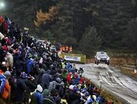rally rally