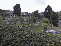 graveyard graveyard