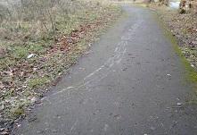 Image cynrychioli Dirwy baent