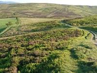 Image of common land