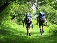Image of some ramblers