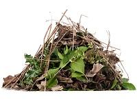 Image of green garden waste