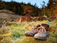 Image of walking boots in the countryside