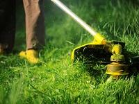 Image of a grass strimmer Image of a grass strimmer
