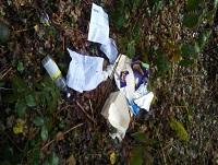 Image of littering in Ystradgynlais