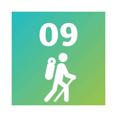 step 9 step 9