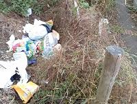 Image of fly-tipping found in Newtown